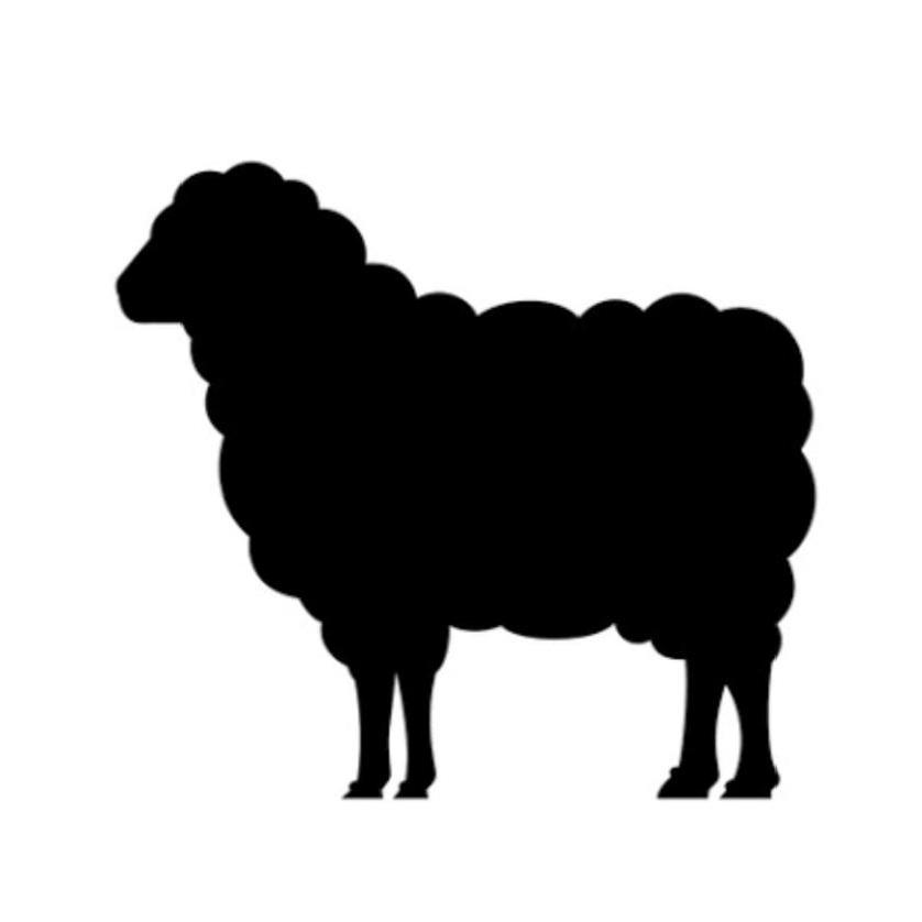 Blacksheep