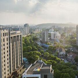 Thomson View