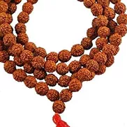 Shriji Tech