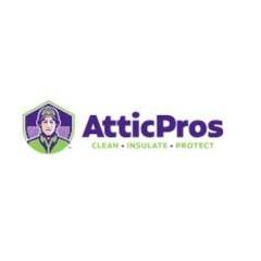 Attic Pros.