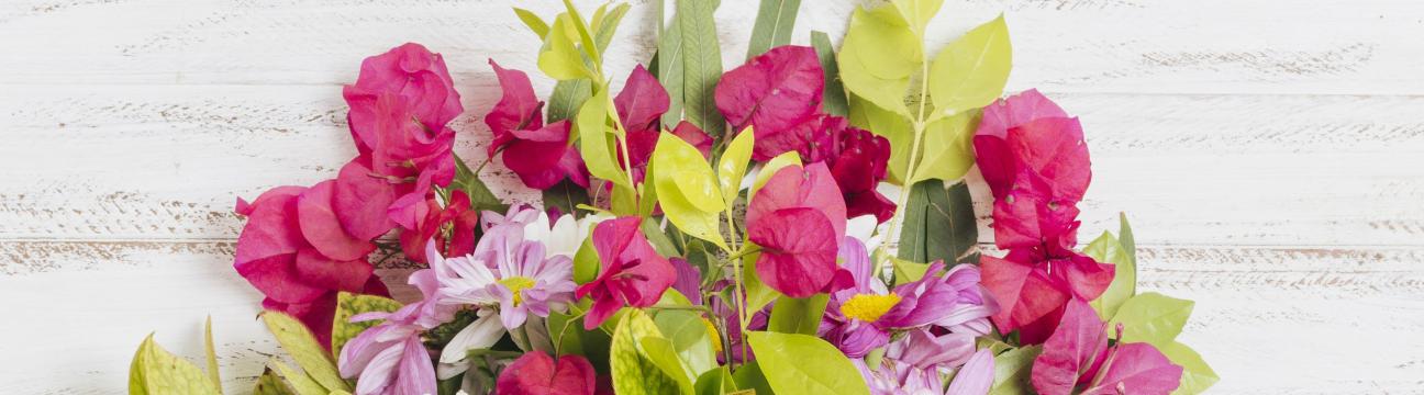 Send Flowers to Bangalore