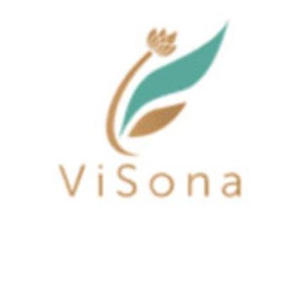 ViSona LLC   