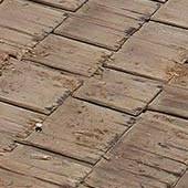 Fillionste Gilliondry Gilliondry634@rikemail.com