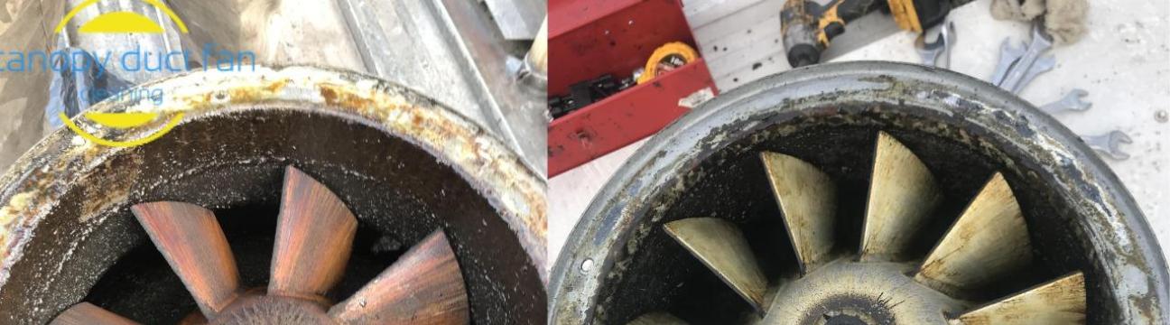 Canopy Filter Cleaning