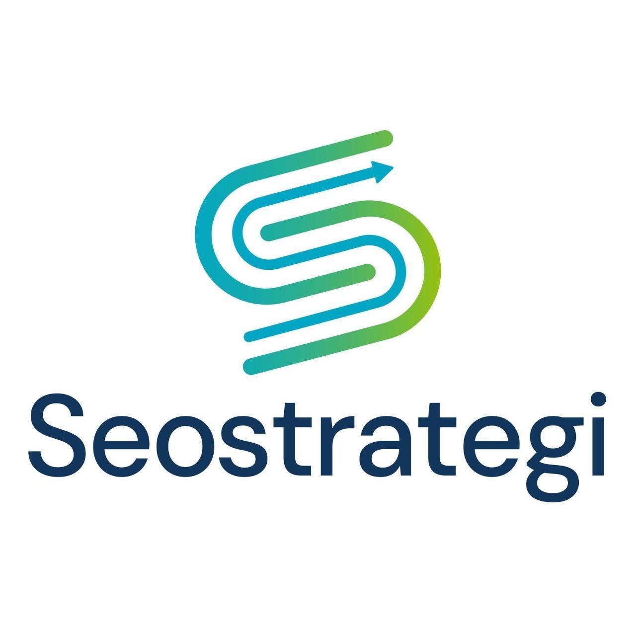 Seo Strategi Norway