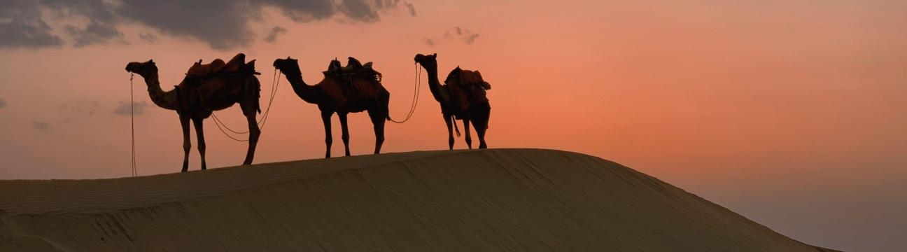 Sahara Unlimited Morocco Tours
