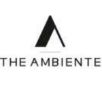 Theambiente Carpets