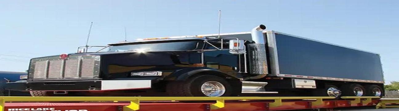 Scale Sale And Services