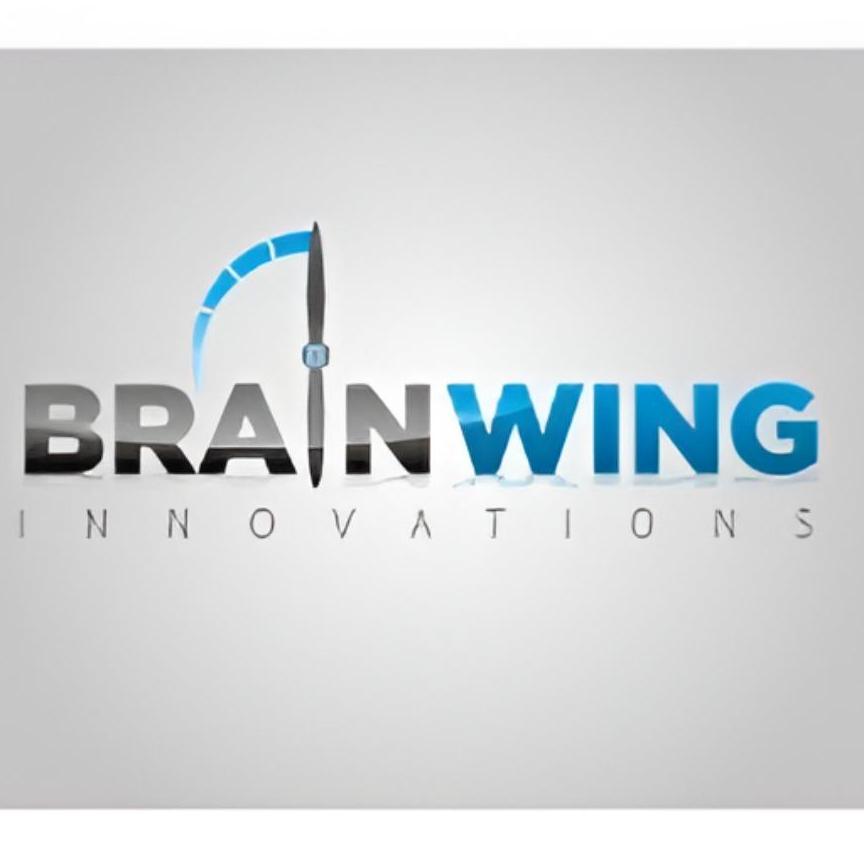 Brain Wings
