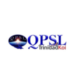 QPSLTD QPSLTD