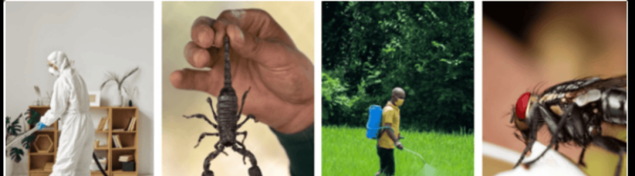 Enviro Guard Pest Control