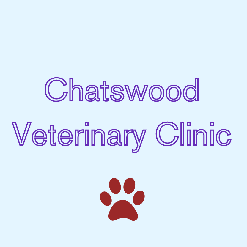 Chatswood  Veterinary Clinic