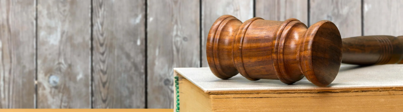 E-Courses For  Court Texas