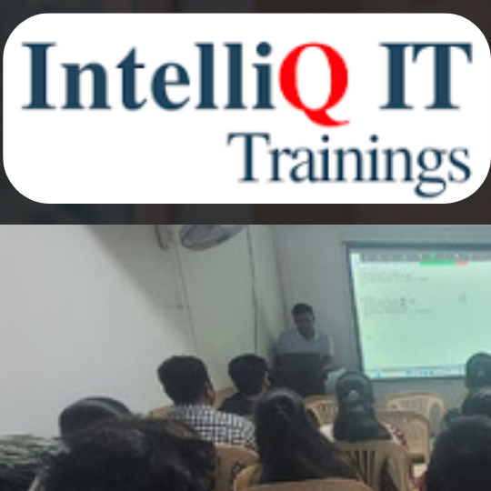 Shalini Intelliqit