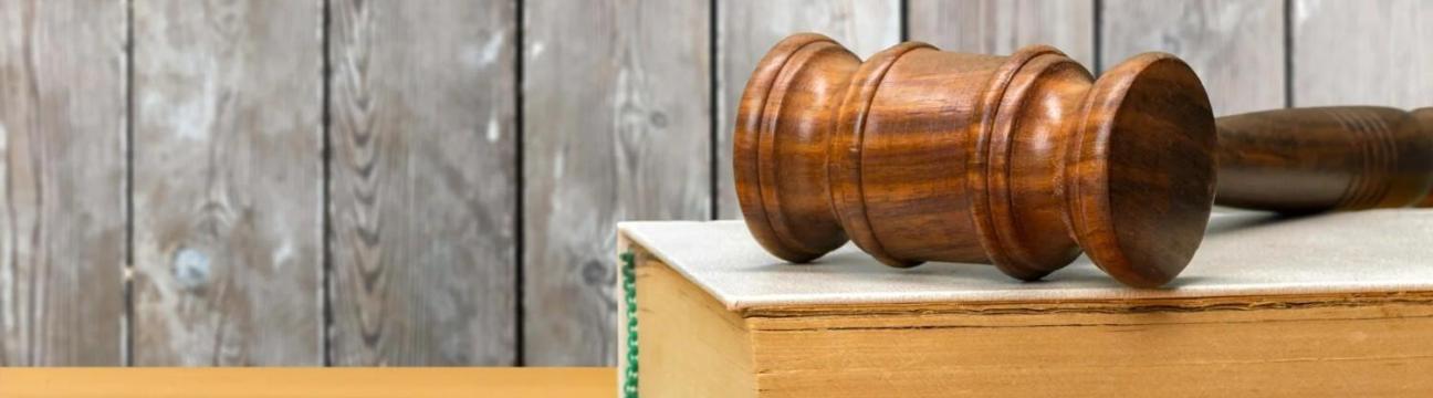 E-Courses For Court New York