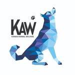 Kannan Animalwelfare