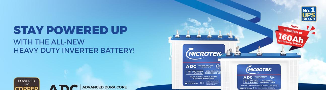 Microtek India