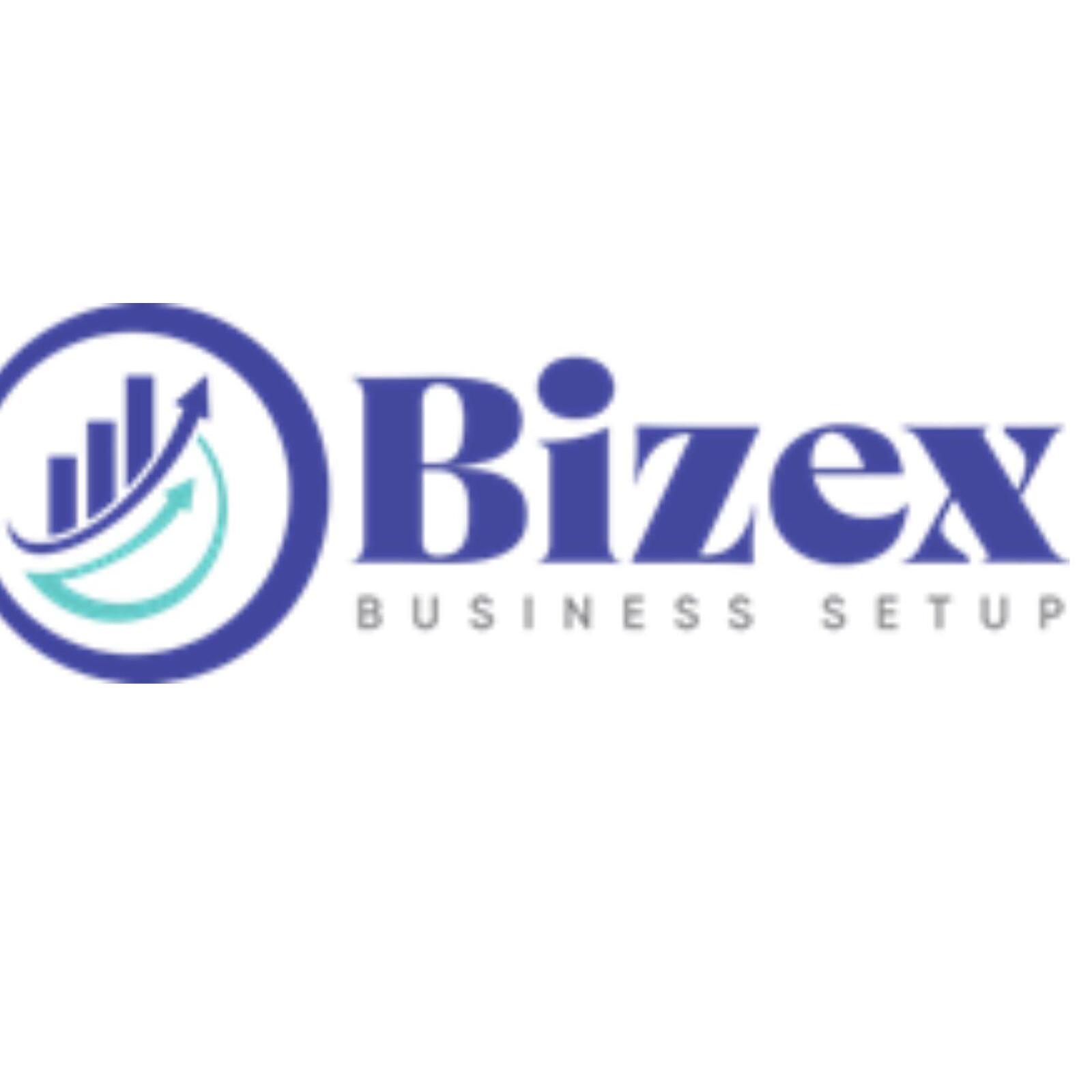 Bizex Llc12
