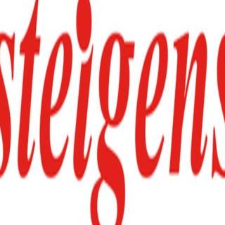 STEIGENS General